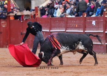 Cayetano y Tristán Barroso triunfan en Ciudad rodrigo; un novillo de vuelta al ruedo de Juan Manuel Criado