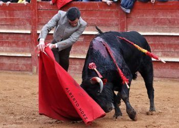 Juan Ortega y Diego Mateos triunfan en Ciudad Rodrigo; Ismael Martín, El Mene o Julio Méndez, también triunfan en el Carnaval del Toro