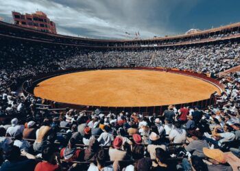 Mañana no hay excusa en Valencia: sol y 0% de lluvia para celebrar el concurso de recortadores
