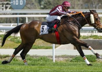 Finely Tuned, por forma y fondo, se impone en el Indian Prince