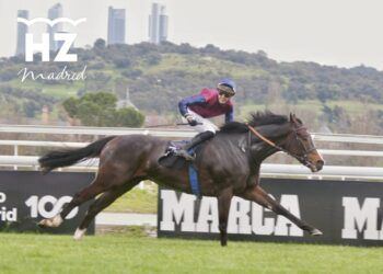 Kowalsky arrasa en el Gran Premio Duque de Alburquerque