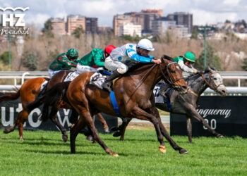 Tammani se lleva el Caporal y Ciro El Grande ilusiona con su debut en el Premio Jockey Club Español