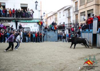 Estos son los toros nominados a «mejor juego» en la temporada 2025 de bous al carrer