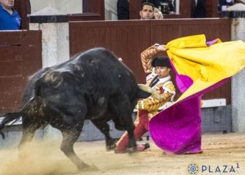 VÍDEO | En resumen, la gran final de la Copa Chenel en Las Ventas con toros de El Capea y Carmen Lorenzo