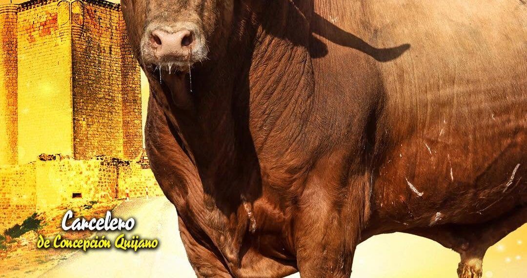 VÍDEO | Así son los toros de Concepción Quijano y Vinhas para la final de la Liga del Corte Puro 2026