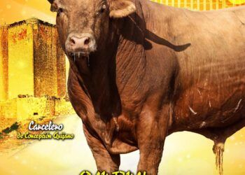 VÍDEO | Así son los toros de Concepción Quijano y Vinhas para la final de la Liga del Corte Puro 2026