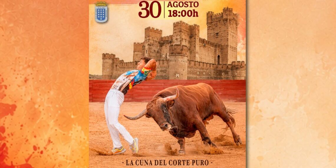 Ya hay fecha y cartel para el concurso nacional de cortes de Medina del Campo: 6.000€ para el ganador