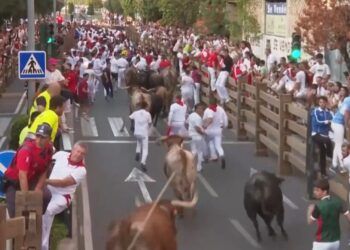 VÍDEO | Un corneado en el primer encierro de las fiestas de Tudela, con novillos de Marcos Núñez