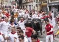 Los toros de Miura ‘vuelan’ por las calles de Pamplona, arrollando pero sin dejar corneados en el séptimo encierro