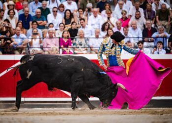 VÍDEO | En resumen, la gran final de la Copa Chenel en Las Ventas con toros de El Capea y Carmen Lorenzo