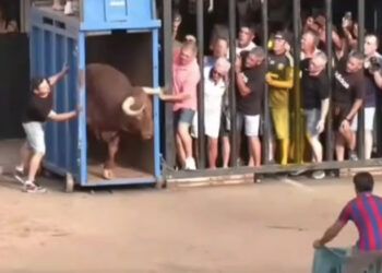 Un joven sufre dos cornadas tras resbalar y sufrir una impactante cogida por un toro de El Pilar en Moncofa