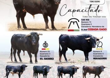 Estos son todos los toros reseñados para los festejos taurinos de las fiestas de Rueda (Valladolid)