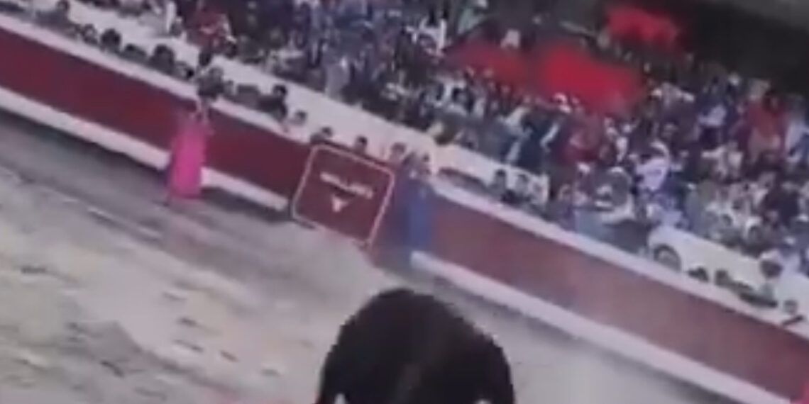 VÍDEO | Grave cornada en el cuello a El Niño de Las Monjas en Perú: impactantes imágenes y una cuestionada atención sanitaria