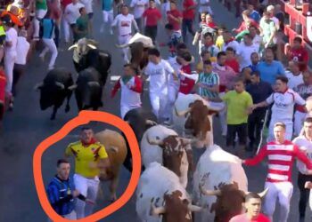 VÍDEO | “La mejor carrera del encierro”: en el final de la calle Real y Estafeta, sobreponiéndose al ritmo trepidante de la manada