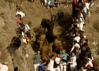 VÍDEO | Así fue la trepidante carrera con reses de Teodoro Vergara en el tercer encierro del Pilón de Falces 2026