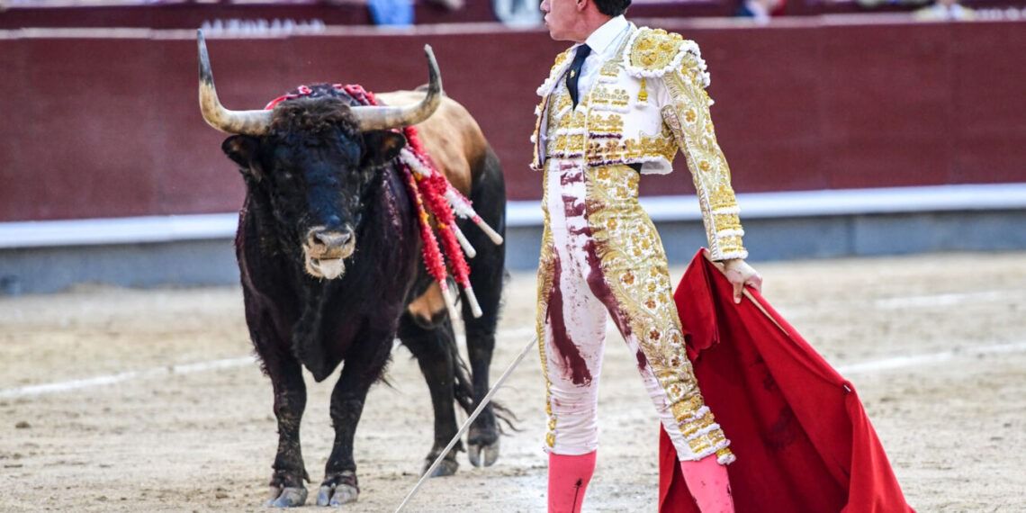 PREVIA | Así afronta Alejandro Peñaranda su compromiso de mañana en la plaza de toros de Las Ventas