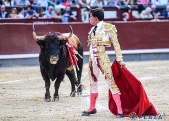 PREVIA | Así afronta Alejandro Peñaranda su compromiso de mañana en la plaza de toros de Las Ventas