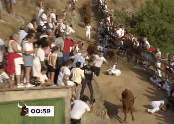 VÍDEO | Accidentado cuarto encierro en el Pilón de Falces, con reses de Alba Reta y seis corredores heridos