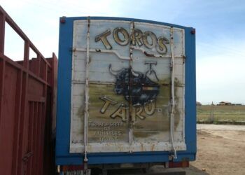 Toros Taru niega ser la responsable organizadora del concurso de cortes de Tudela de Duero y muestra su disposición a realizar análisis de astas tras la denuncia de los cortadores
