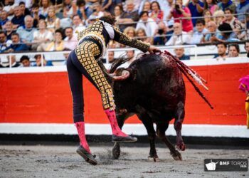 Peligroso y accidentado el quinto encierro con toros de La Castilleja en San Sebastián de los Reyes: mucha tensión tras formarse una montonera de corredores en la entrada a la plaza