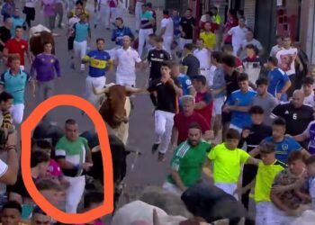 Zalduendo completa un tercer encierro rápido, limpio y con los bueyes tomando el protagonismo en San Sebastián de los Reyes