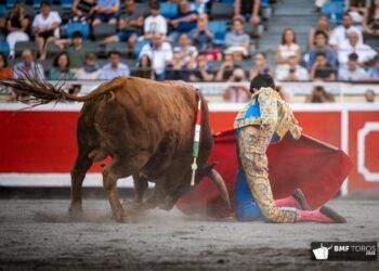 El “Trofeo al toro más bravo” de las Corridas Generales de 2026 en Bilbao queda «desierto»