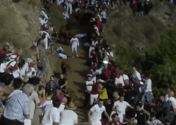VÍDEO | Así fue el sexto encierro con reses de Hípica Zahorí en el Pilón de Falces: cinco heridos leves