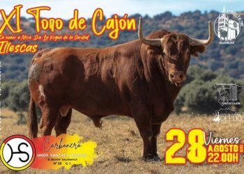 Illescas reseña un espectacular toro de Sánchez Herrero para su XI Toro de Cajón el 28 de agosto
