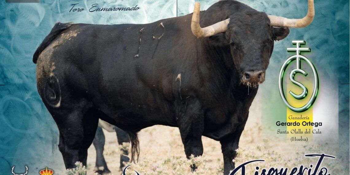 Yuncos presenta a sus toros para el mes de septiembre: un toro de Gerardo Ortega y un novillo de Torrestrella serán los toros enmaromados