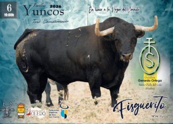 Yuncos presenta a sus toros para el mes de septiembre: un toro de Gerardo Ortega y un novillo de Torrestrella serán los toros enmaromados