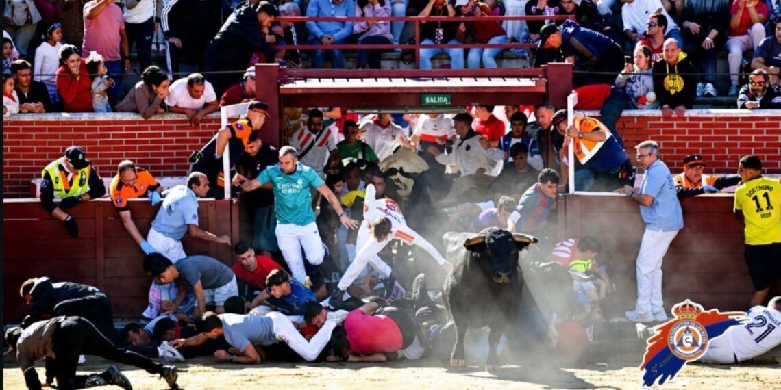 Peligroso y accidentado el quinto encierro con toros de La Castilleja en San Sebastián de los Reyes: mucha tensión tras formarse una montonera de corredores en la entrada a la plaza