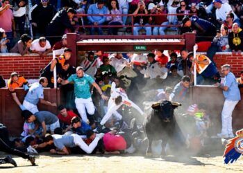 Peligroso y accidentado el quinto encierro con toros de La Castilleja en San Sebastián de los Reyes: mucha tensión tras formarse una montonera de corredores en la entrada a la plaza
