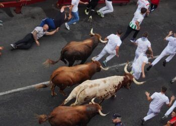 Un encierro para corredores experimentados: veloz y vistoso encierro con toros de São Torcato en San Sebastián de los Reyes