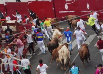 Un encierro para corredores experimentados: veloz y vistoso encierro con toros de São Torcato en San Sebastián de los Reyes