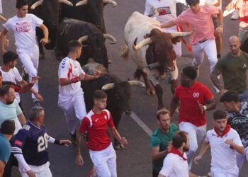 VÍDEO | Así ha sido el séptimo encierro con toros de Juan Pedro Domecq y Álvaro Núñez en San Sebastián de los Reyes
