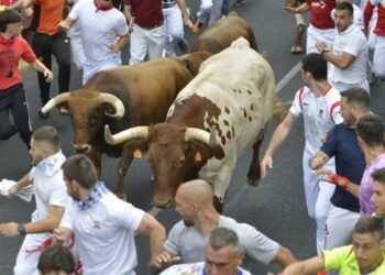 Un encierro para corredores experimentados: veloz y vistoso encierro con toros de São Torcato en San Sebastián de los Reyes