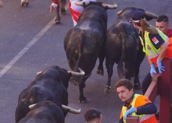 VÍDEO | Así ha sido el séptimo encierro con toros de Juan Pedro Domecq y Álvaro Núñez en San Sebastián de los Reyes