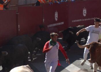 VÍDEO | Así ha sido el séptimo encierro con toros de Juan Pedro Domecq y Álvaro Núñez en San Sebastián de los Reyes