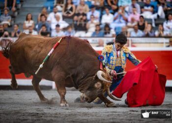 El “Trofeo al toro más bravo” de las Corridas Generales de 2026 en Bilbao queda «desierto»