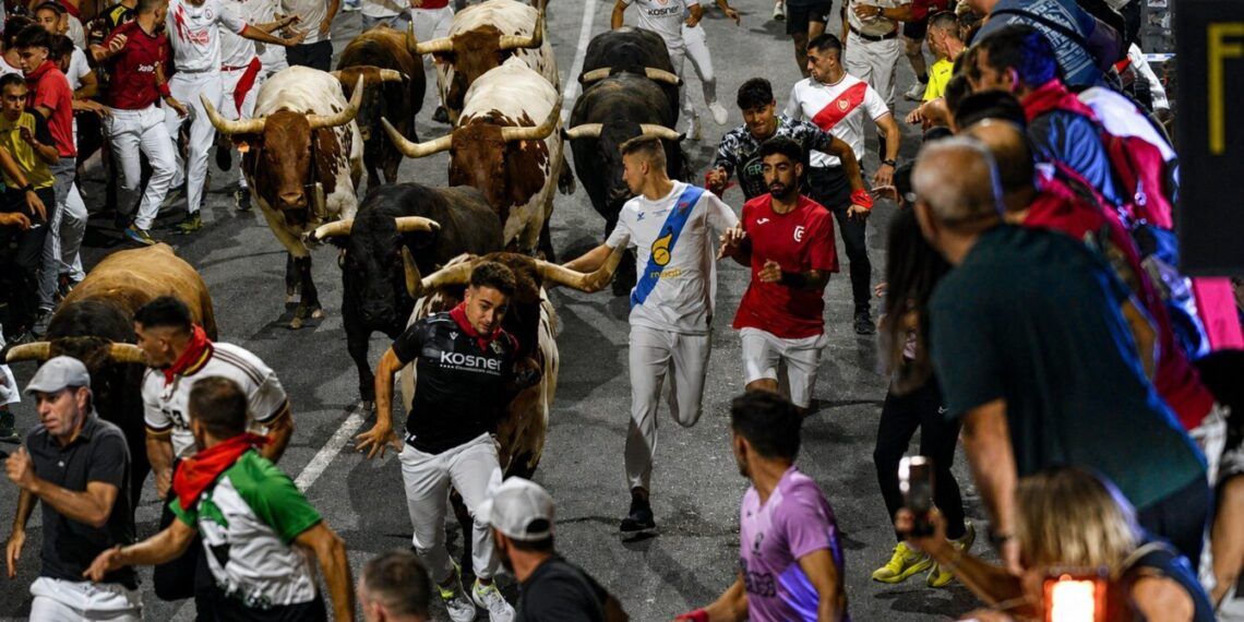 Los toros de Hermanos García Jiménez completan un rápido y limpio encierro nocturno por las calles de San Sebastián de los Reyes