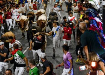 Los toros de Hermanos García Jiménez completan un rápido y limpio encierro nocturno por las calles de San Sebastián de los Reyes