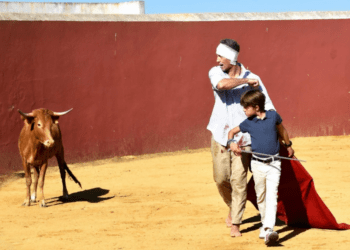 IMAGEN | Escribano ya se ejercita en el campo, con un aparatoso vendaje tras la herida por asta de toro en la oreja izquierda