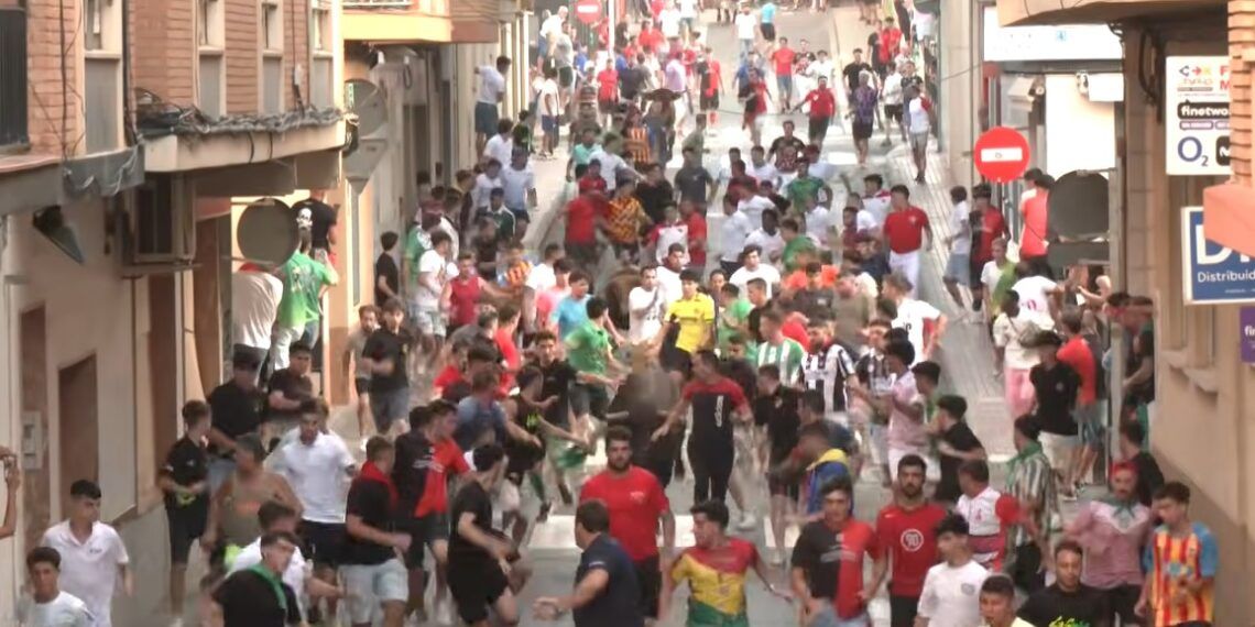 VÍDEO | Así fue el encierro con reses de Dani Machancoses en La Vall d’Uixó con motivo de Les Penyes en Festes