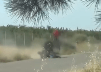 Localizado el toro que se escapó del encierro en Aljubé (Albacete) tras varias horas en paradero desconocido: un jinete resultó herido