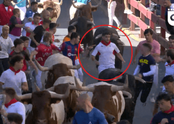 VÍDEO | «La mejor carrera del encierro»: en la calle Real, con los tres últimos novillos de Montealto en San Sebastián de los Reyes