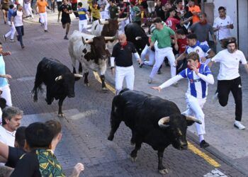 Los toros de Núñez de Tarifa protagonizan un vibrante y emocionante sexto encierro en San Sebastián de los Reyes
