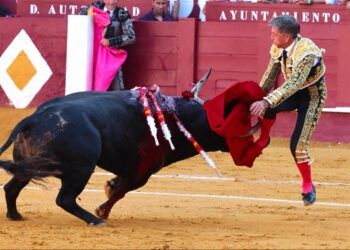 VÍDEO | Gran corrida de Victorino Martín en su vuelta a Málaga: doble Puerta Grande para Emilio de Justo y Fortes