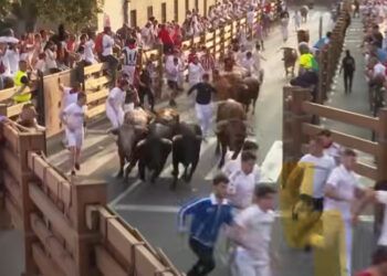 Tudela vibra con sus tradicionales encierros por Santa Ana: un herido por asta, buenas carreras y sin percances de gravedad