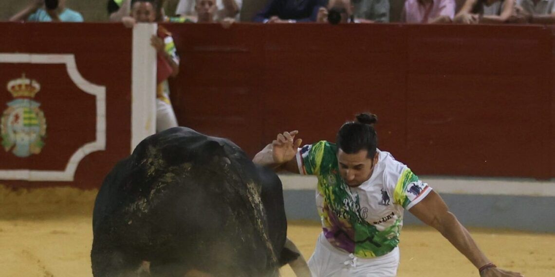 “Triki” se alza campeón con los toros de Monteviejo en Villaseca de la Sagra; Luis Cámara, corneado e intervenido en la enfermería