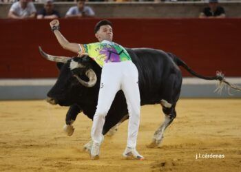“Triki” se alza campeón con los toros de Monteviejo en Villaseca de la Sagra; Luis Cámara, corneado e intervenido en la enfermería